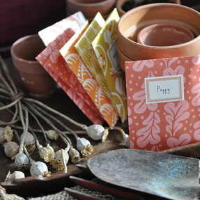 Seed Envelopes & Heffers Bookshop
