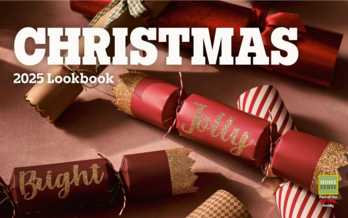 Homesense Christmas 2025