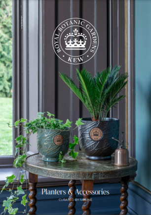 Ivyline - KEW 2024